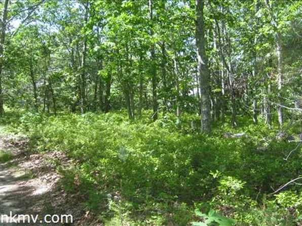 0 Isaac Ave, Oak Bluffs, MA 02557