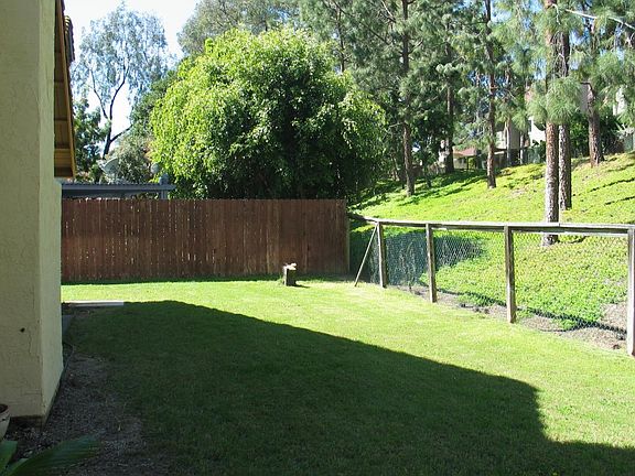rear yard