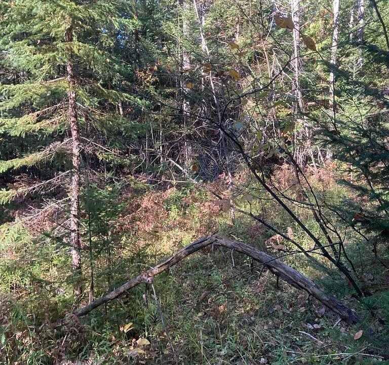 2nd image of 9165 Afton Rd
