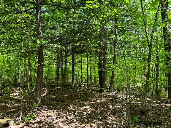 4th image of 1.1 Cobble Creek Rd #1