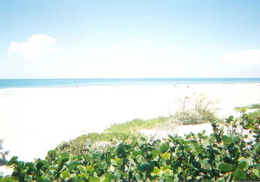 Ocean