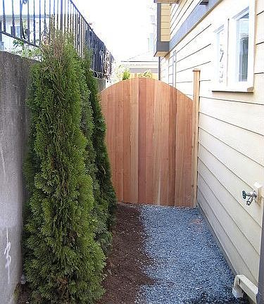 Fenced yard