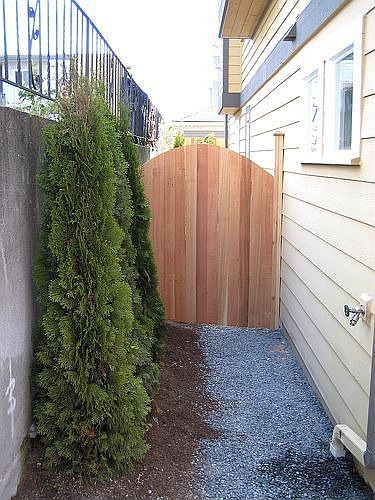 Fenced yard