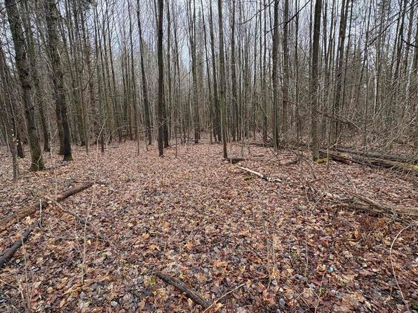 Partridge Lane, Danville, VT 05828