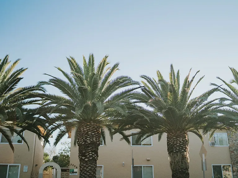 3207 Impala Dr #6 — Photo 11