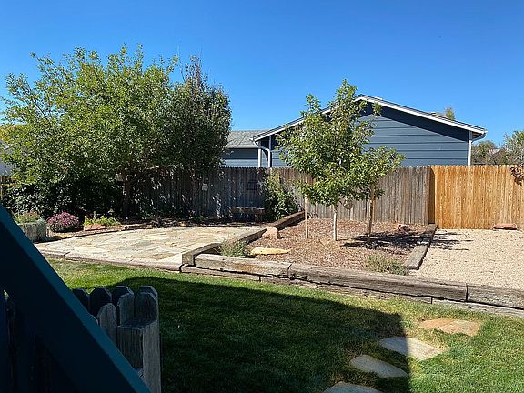Great trees in backyard 