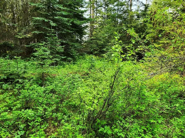 2770 Alpine Dr, Fernwood, ID 83830