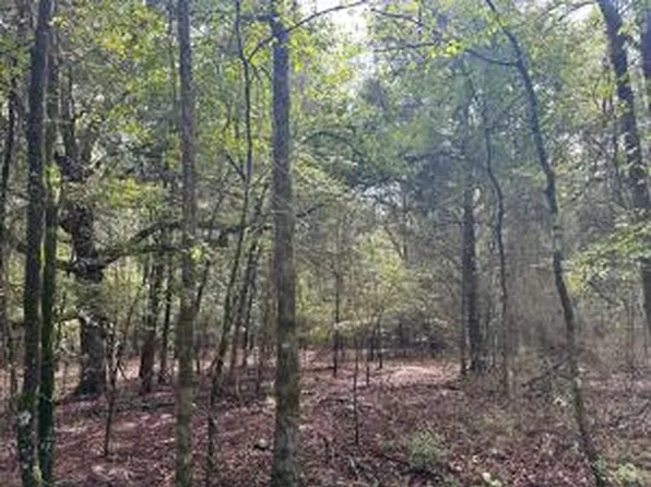 (undisclosed Address), Clarksville, AR 72830