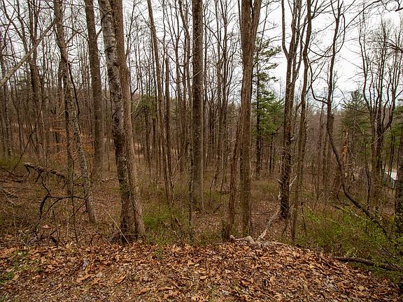 5th image of LOT 356 Scotch Pine Dr