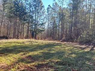 Hampton Locust Grove Rd, Hampton, GA 30228