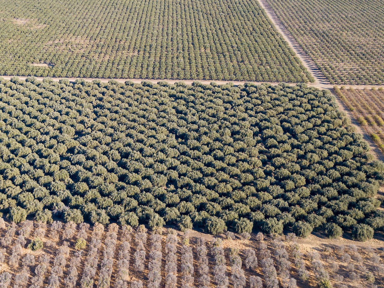 10143 Road 256, Terra Bella, CA 93270 | Redfin 10143 Road 256, Terra Bella, CA 93270 | Redfin