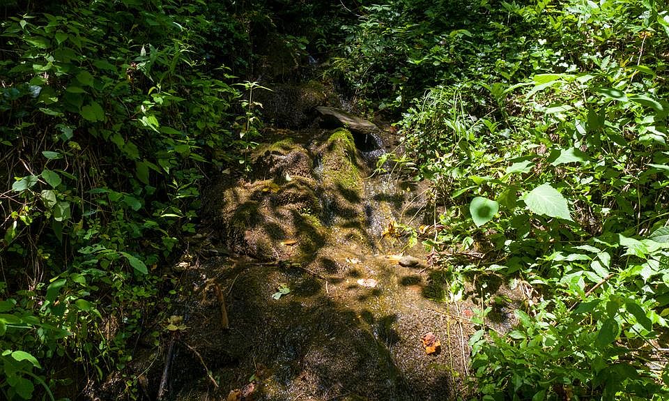 1145 Buck Creek Rd, Highlands, NC 28741 Zillow