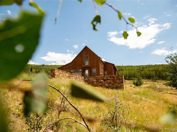 3601 Forest Road 504, Creede, CO 81130