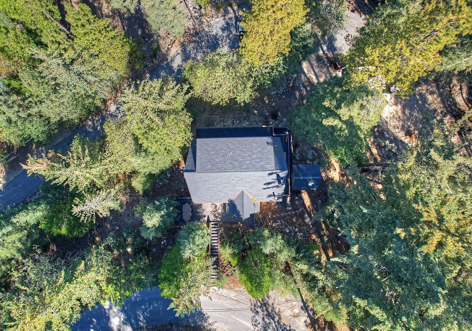 Large 3 Bed / 2 & 1/2 Bath Cabin For Rent in Twin Peaks — Photo 1