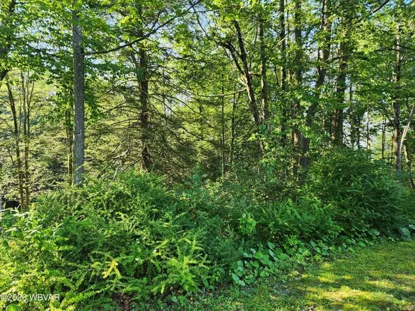 4 Rider Ln, Eagles Mere, PA 17731