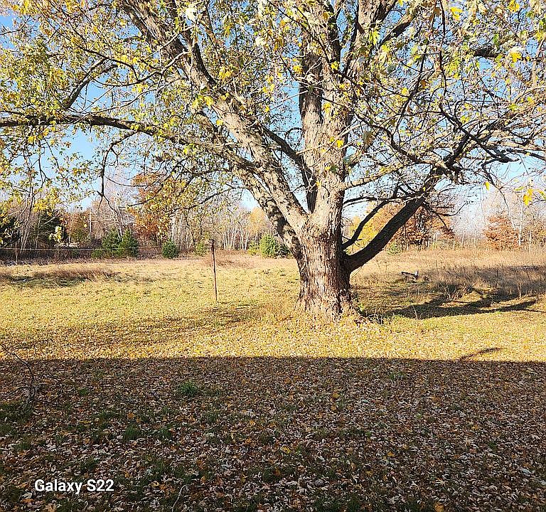 2nd image of 16950 Kimbro Ave N