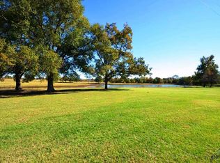 701 Vzcr 1119, Grand Saline, TX 75140