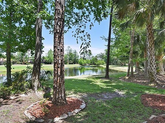 4th image of 1542 Shadowmoss Cir
