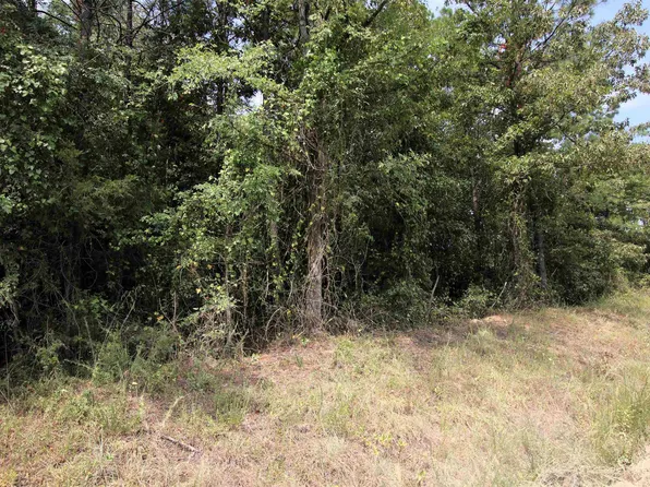 0 Highway 95, Hattieville, AR 72063