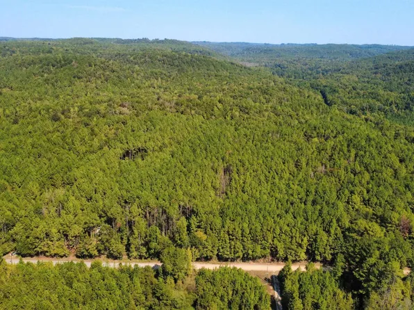 275 Pendley Creek Rd #0, Berry, AL 35546