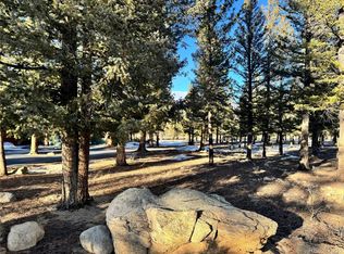 30470 Harvard Cir LOT 3, Buena Vista, CO 81211