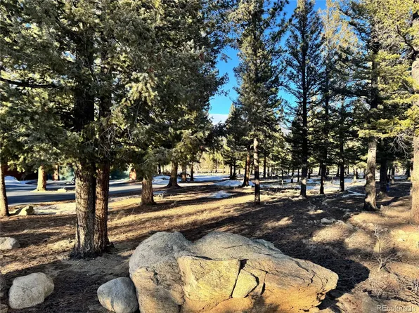 30470 Harvard Circle LOT 3, Buena Vista, CO 81211