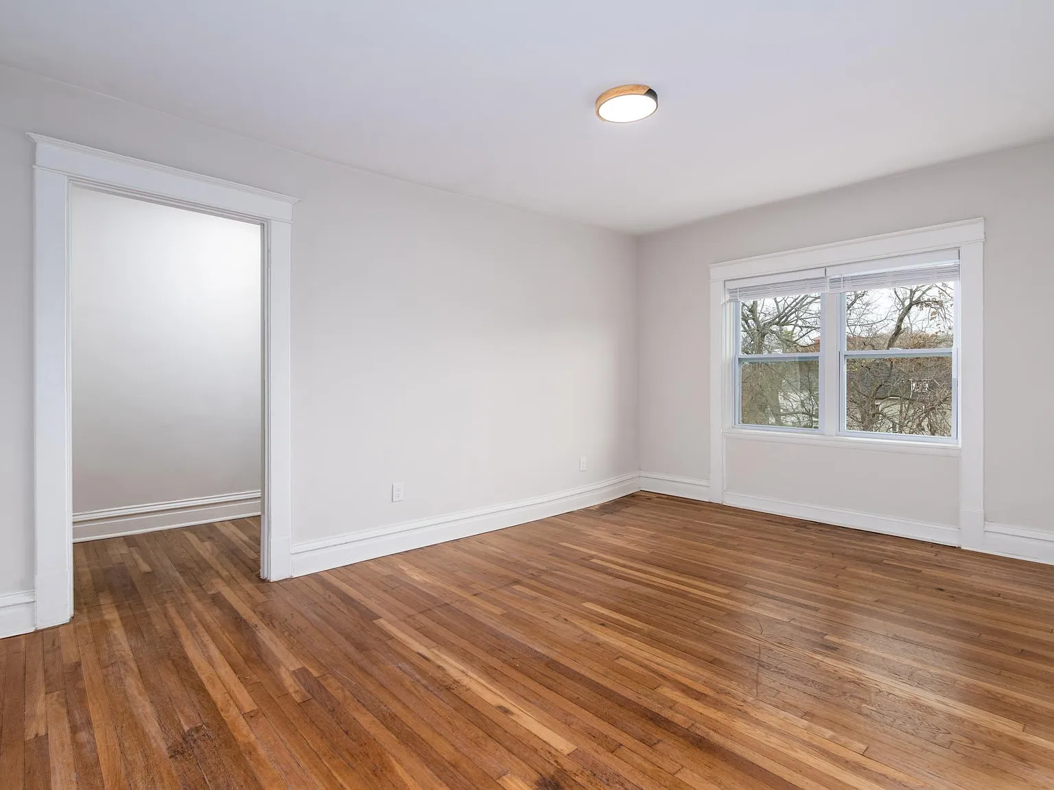 7389 Maple Ave — Photo 3