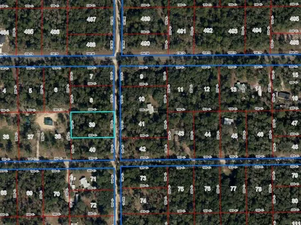 Lot 39 NE 102nd Ct, Bronson, FL 32621