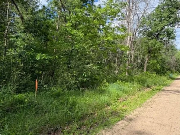 V/l E Lynndon St, Idlewild, MI 49642