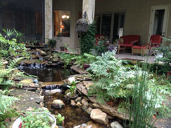 Pond and patio