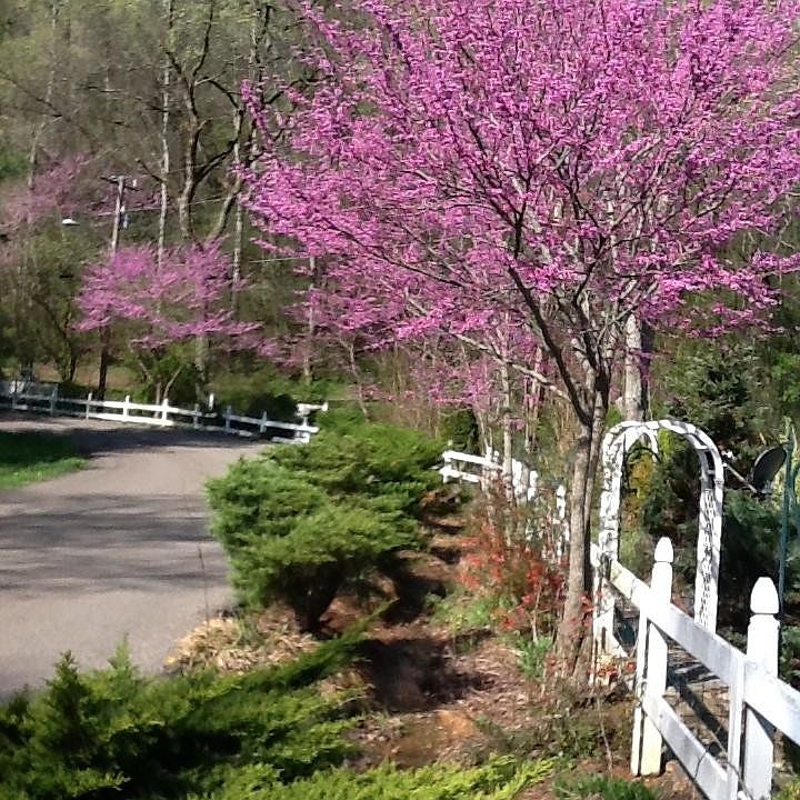 1st image of 5134 SE Rebecca Ln