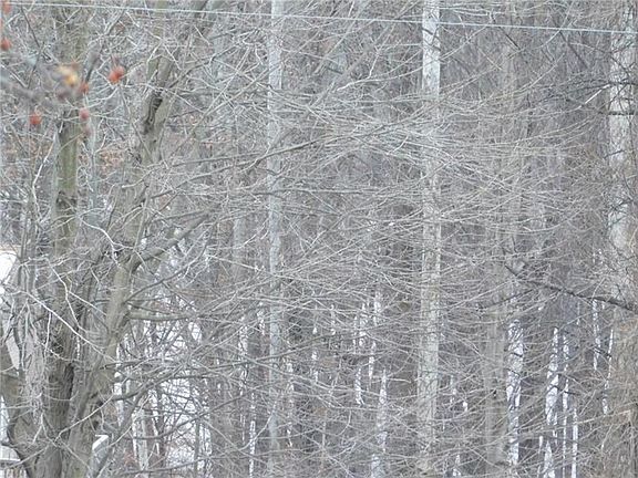 This photo was taken from the front yard. Views of the Shenango Lake....Great Location!