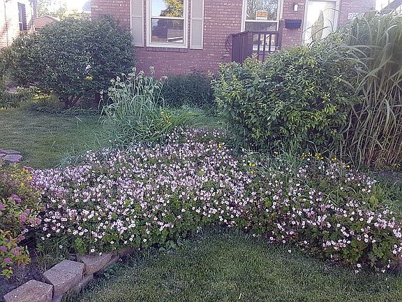 Purple & Yellow Floura