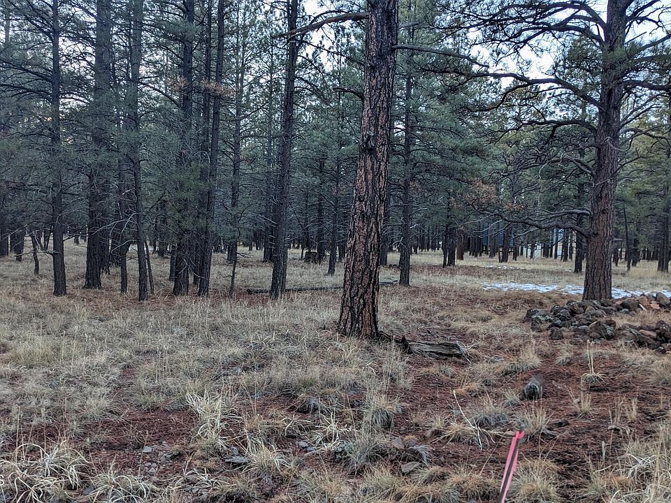 1st image of 0 S Golden Meadows Trl