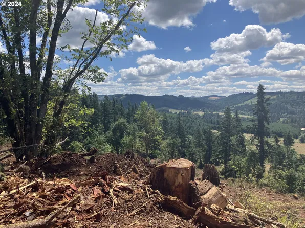6543 Indian Springs Rd, Scotts Mills, OR 97375