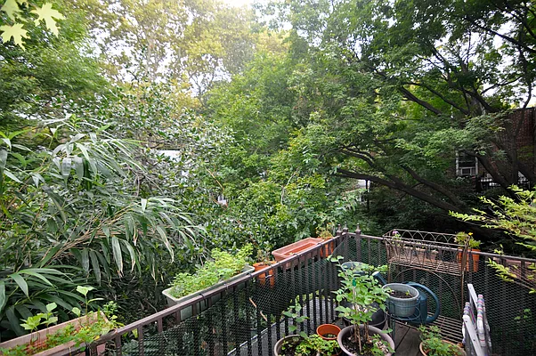 Rented by Welcome Home Real Estate | media 14