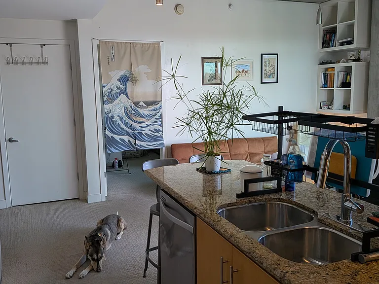 801 Ash St #1102 — Photo 7