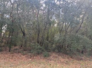 318 E Savoy St, Lecanto, FL 34461