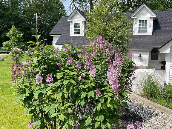 3rd image of 1457 Mountain Road #5
