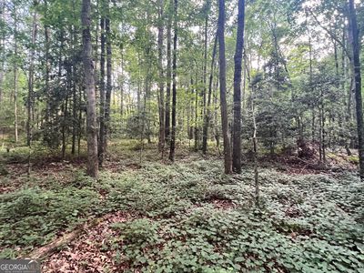 0 Craft Ferry Rd, Elberton, GA, 30635