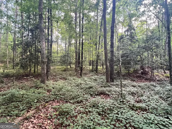 0 Craft Ferry Rd, Elberton, GA 30635