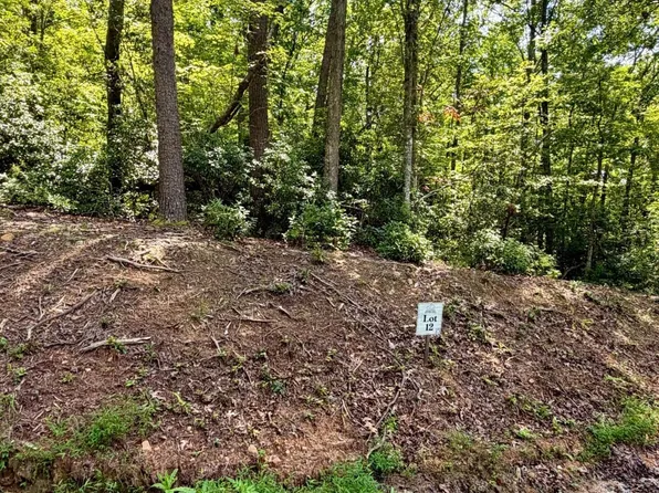 12 Sapphire Rdg, Blue Ridge, GA 30513