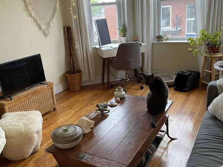 62 Woodstock Ave #17 — Photo 1