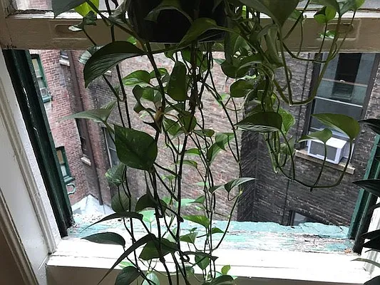 Rented by Village Living Realty | media 3