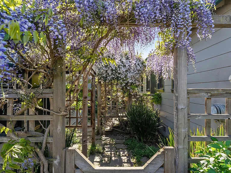 Springtime flowers