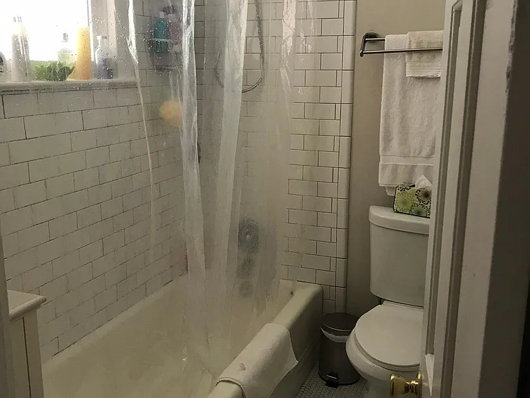 Hall bathroom