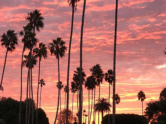 Park across the street