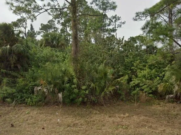 2321 Moore Ave, Alva, FL 33920