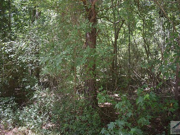 4th image of 0 Burning Tree Ct