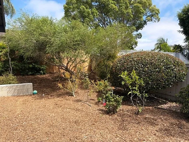 2725 Glasgow Dr — Photo 12